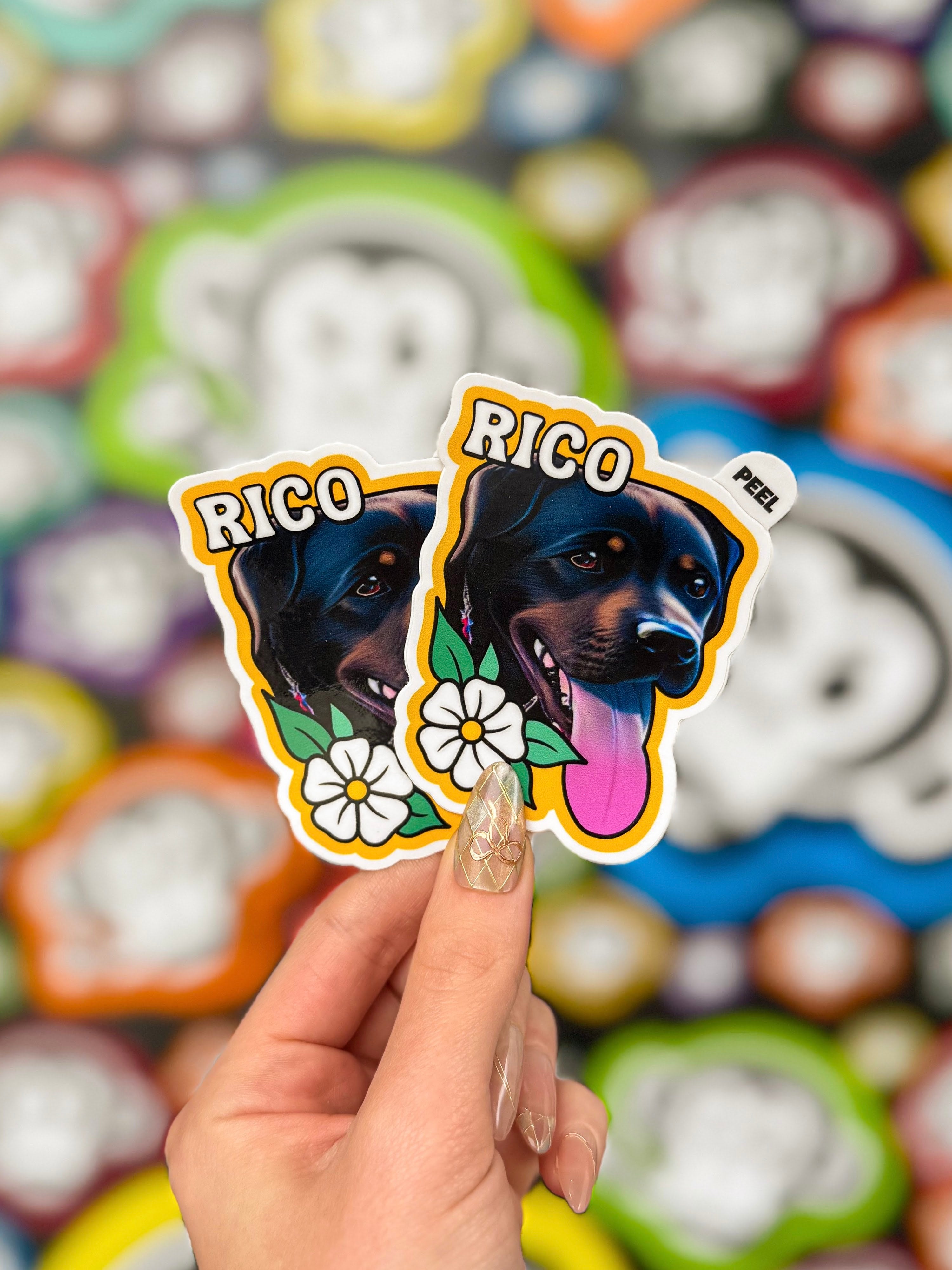 Close-up of a hand holding two colorful dog peel tab stickers labeled "Rico" against a blurred, vibrant background of similar stickers. Fun and lively tone.
